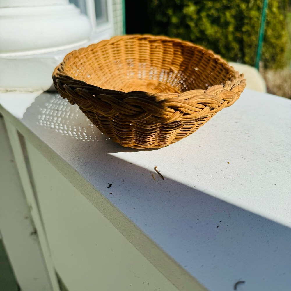 VTG Brown Wicker Boho Basket Catchall Farmhouse Rustic Organize Storage Mail